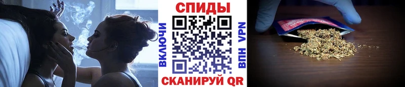 БУТИРАТ 1.4BDO Онега