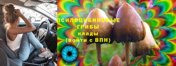 прущие грибы Белоозёрский