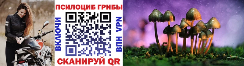 купить наркотик  Онега  Галлюциногенные грибы прущие грибы 